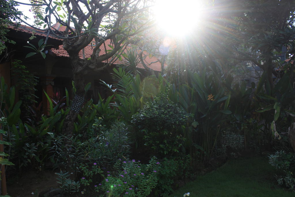 Hotel Cleopatra Beach Bungalows Lovina Exterior foto